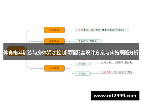 体育格斗训练与身体姿态控制课程配套设计方案与实施策略分析
