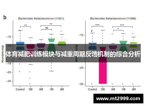 体育减肥训练模块与减重周期反馈机制的综合分析