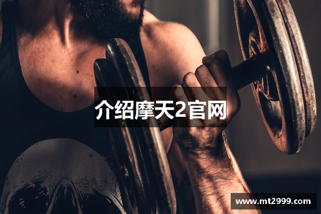 介绍摩天2官网